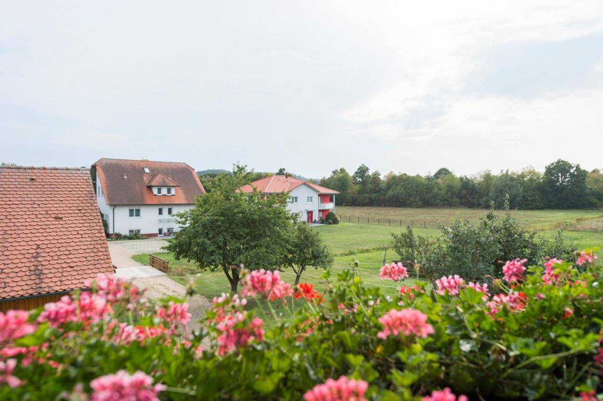 Gasthaus-Pension Hofmann Обердакштеттен Экстерьер фото